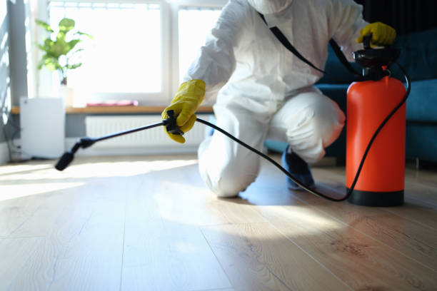 Reliable Odor Removal contractor in Wenatchee, WA by Trauma Clean Pros